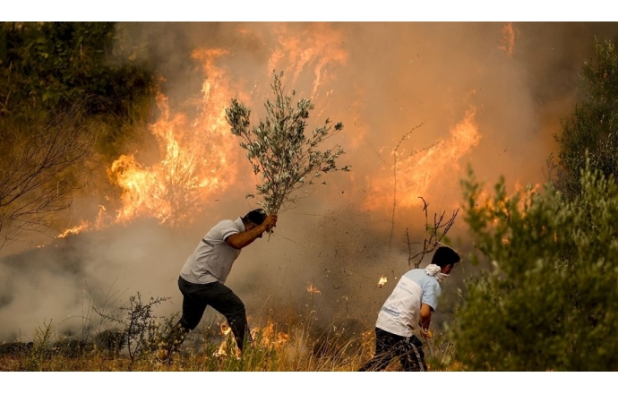 Orman Yangınları için Fidan Bağışı Kampanyası